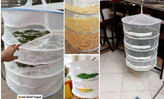 میوه خشککن سهطبقه راحت، بهداشتی و کاربردی
